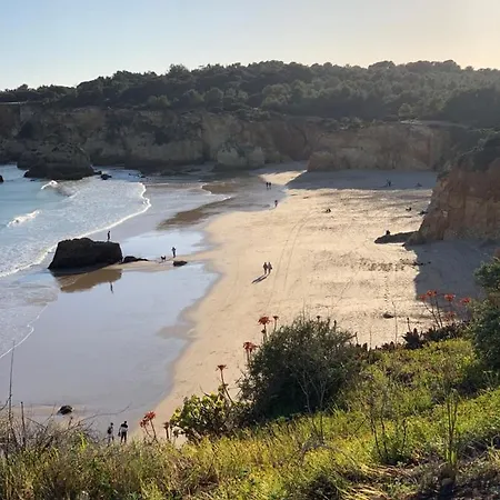 Appartamento Sunshine Lovers *