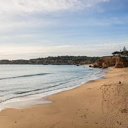 Sunshine Lovers Апартаменты