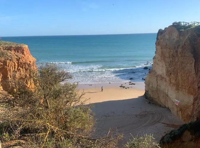 Sunshine Lovers 포티마오